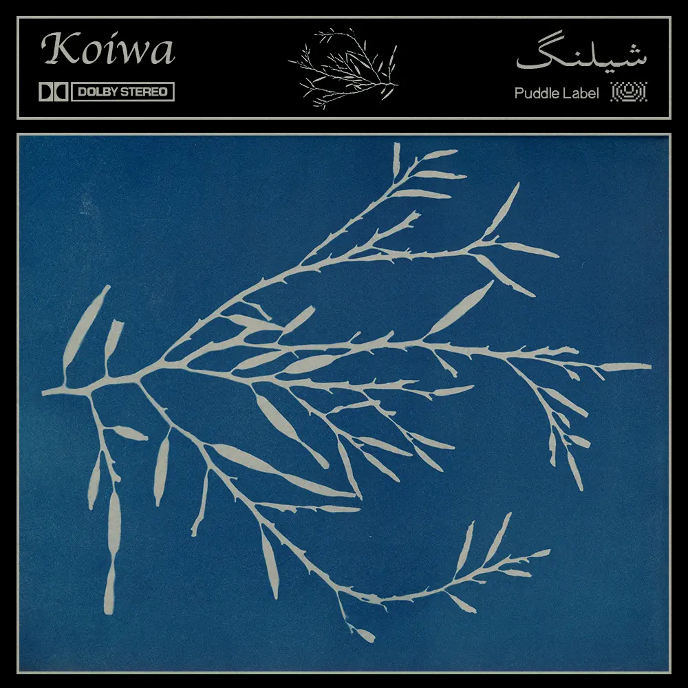 Koiwa — شیلنگ
