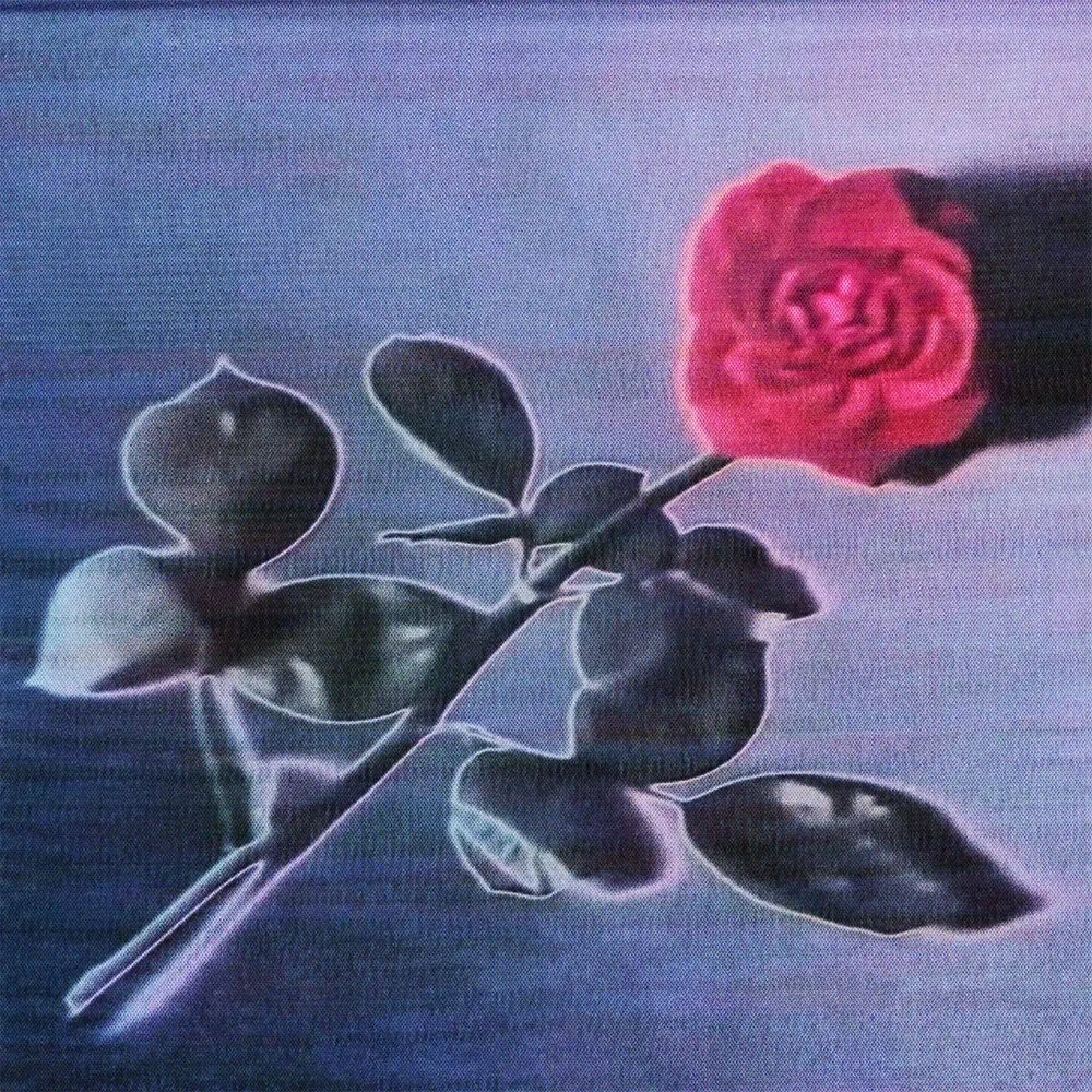 Archivo Edición — Lentos 4